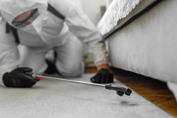Professional Bed Bug Control technician working in Lake Land'Or, VA