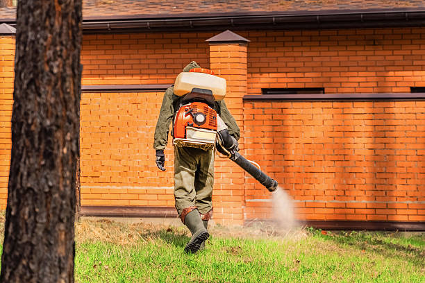 Trusted Bed Bug Control service in Lake Land'Or, VA - Nex Pest Control